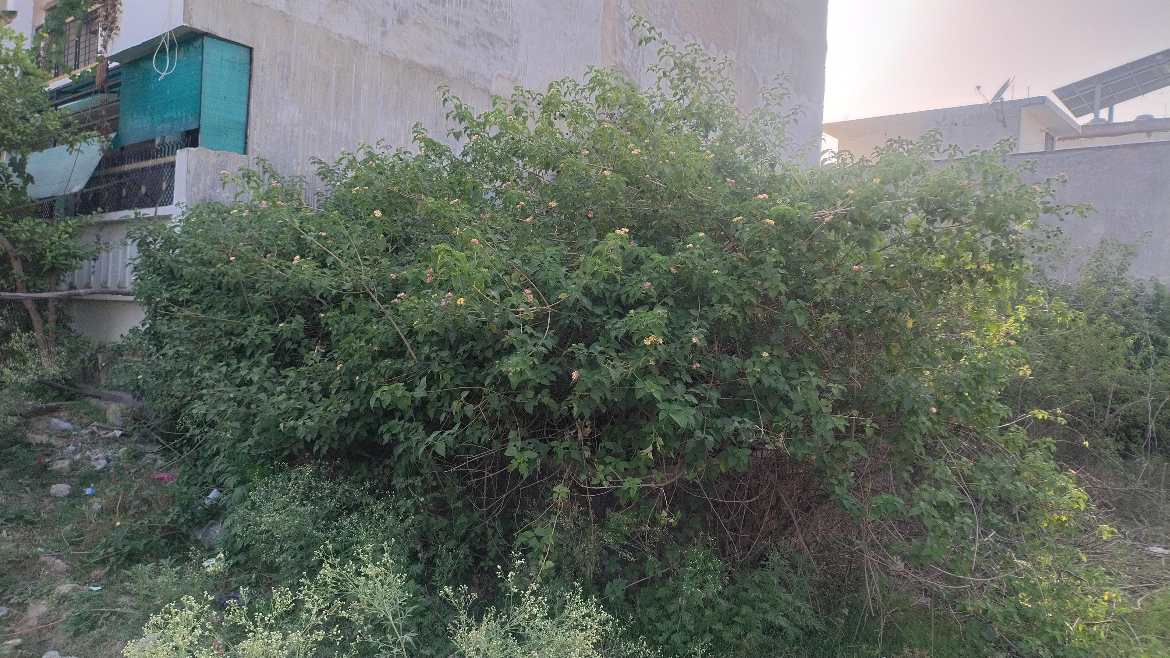 Janakipuram Tiwari Pur Nahar Road Resale Plot for Sale | 800 Sqft Plot @ ₹2500/Sqft in Lucknow